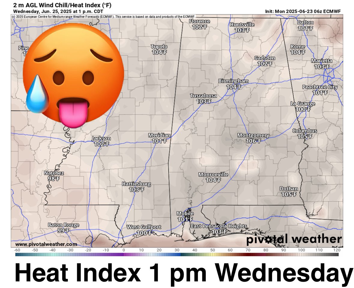 The heat builds this week and peaks around Wednesday when the heat index will top 105° in spots. Might want to plan some indoor activities if you can!