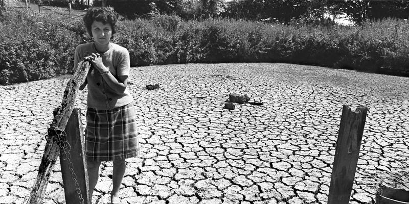 📷 Une agricultrice de l'Orne devant sa mare asséchée par la sécheresse de juin 1976. (AFP)