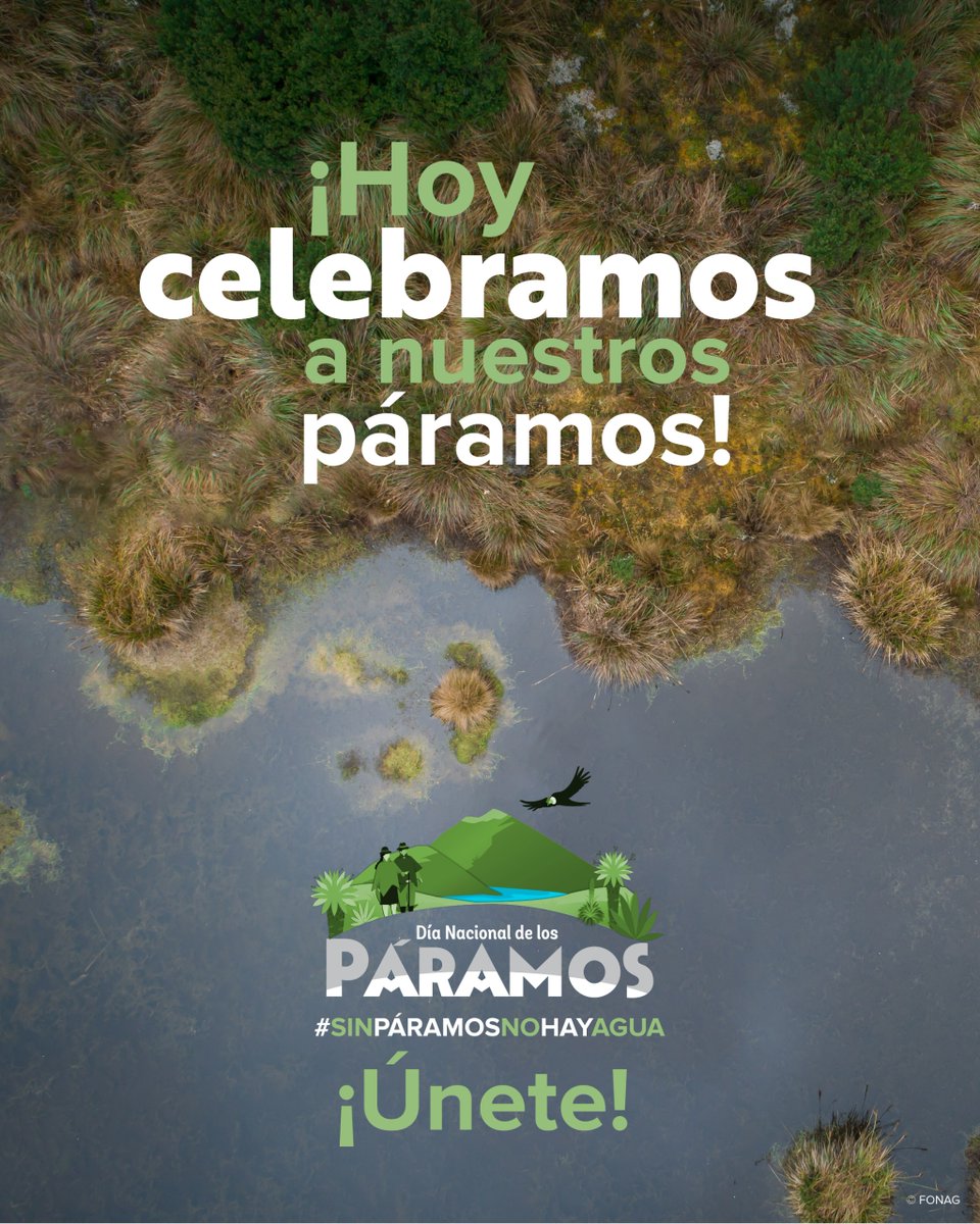 🌿 Hoy celebramos el #DíaDeLosPáramos en Ecuador. Guardianes del agua, del clima y de la vida. Conócelos y protégelos.
📖 Lee más aquí: nature.org/es-us/sobre-tn…
#SinPáramosNoHayAgua