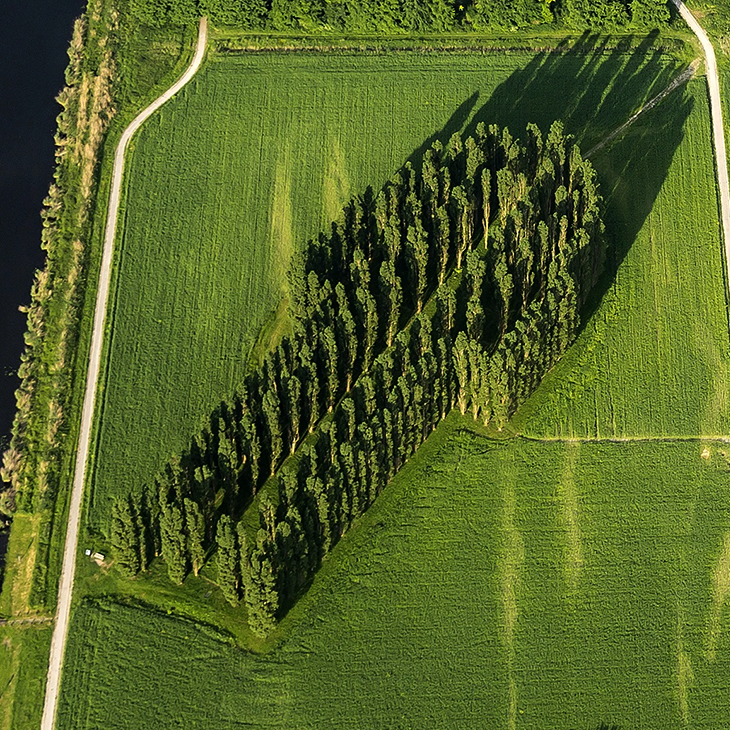 TER97
De Groene Kathedraal
Marinus Boezem
Almere, Nederland
52°19′19″N 5°19′02″E
1987
sensesatlas.com/the-green-cath…