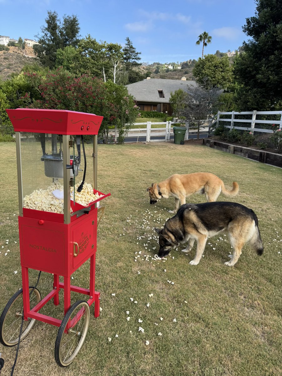 Paul Leonard-Morgan tweet media