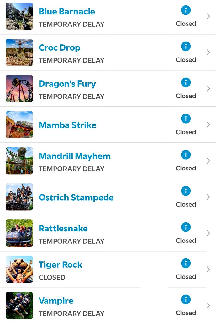 Chessington Buzz tweet media