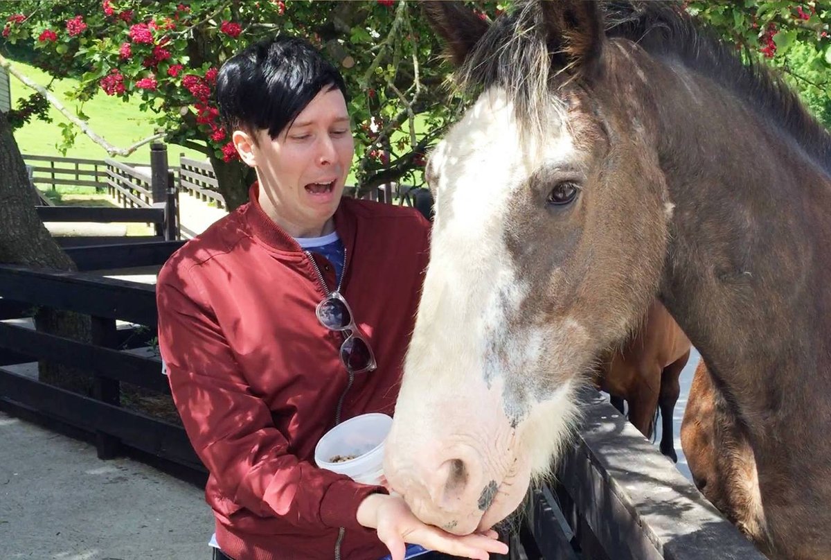 10yearsofdnp's tweet photo. June 23, 2015: Happy 10 YEARS to the infamous horse photos that sparked a million memes! 🐴😋😫 https://t.co/YHWOCgltSv