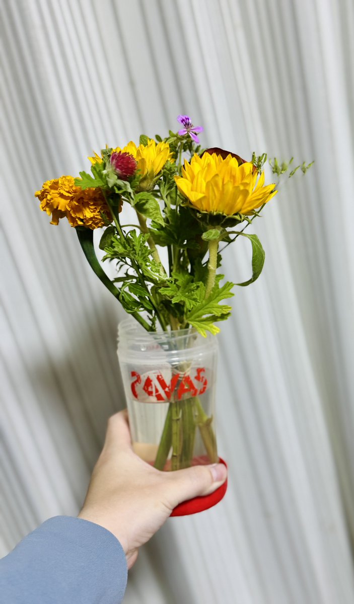 「穢れた血〜」の連載が終了して担当さんからお花をいただきました…！！
めっちゃ嬉しかったですが花瓶がないので一旦プロテインシェイカーで…！！
注文した花瓶は明日届くようなのでそれまで頑張ってくれお花さん！　パワー