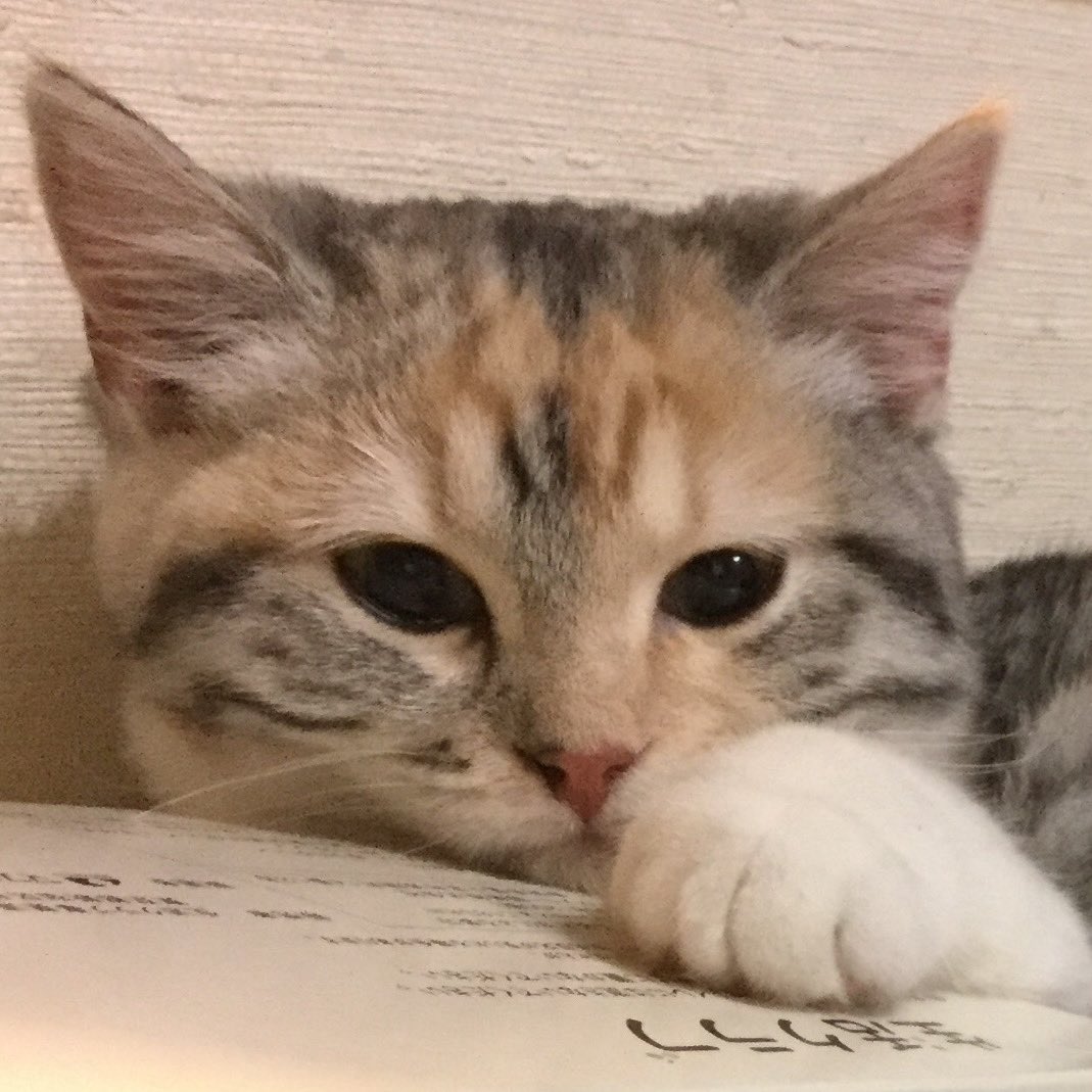 ちびっこ時代の写真を発掘