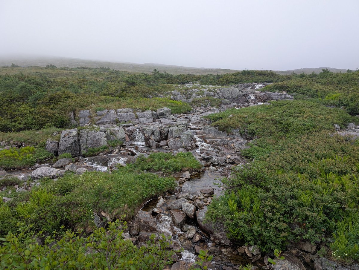 PLDfanboy's tweet photo. After an early morning wake up, several hours of driving I'm here ready to teach about dementia care. #rainydays #Dementia #GPA #teachingdays #ruralNewfoundland https://t.co/OA6eKHwJ89