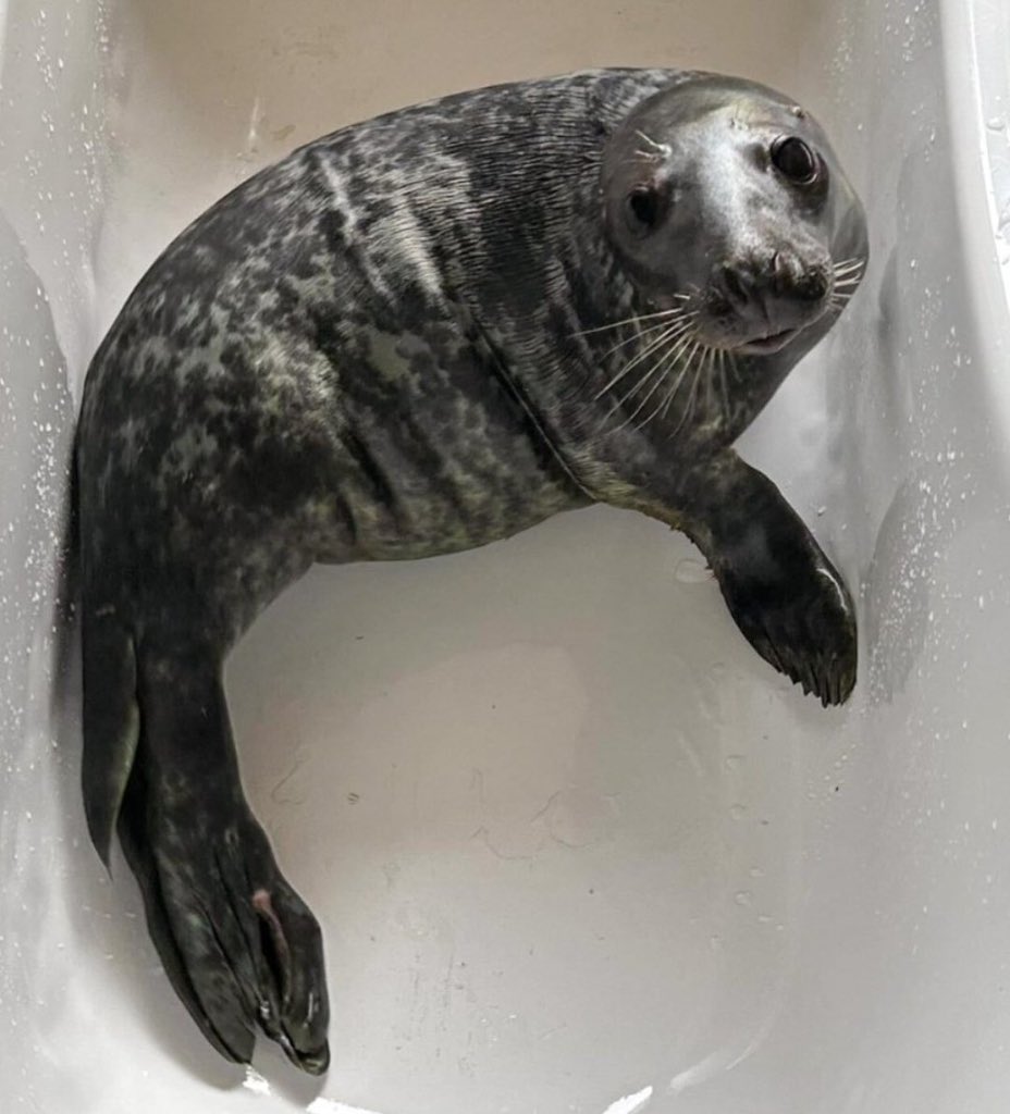 BOY GET OUT MY BATHTUB😒😒😒