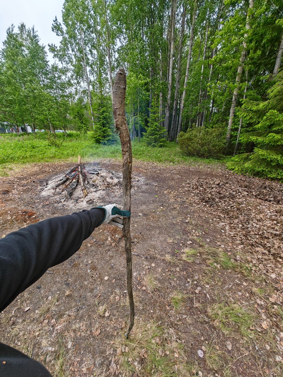 rasiantuntija's tweet image. Kui siisti keppi. No ihan hiton siisti. #sticks #welhohommat