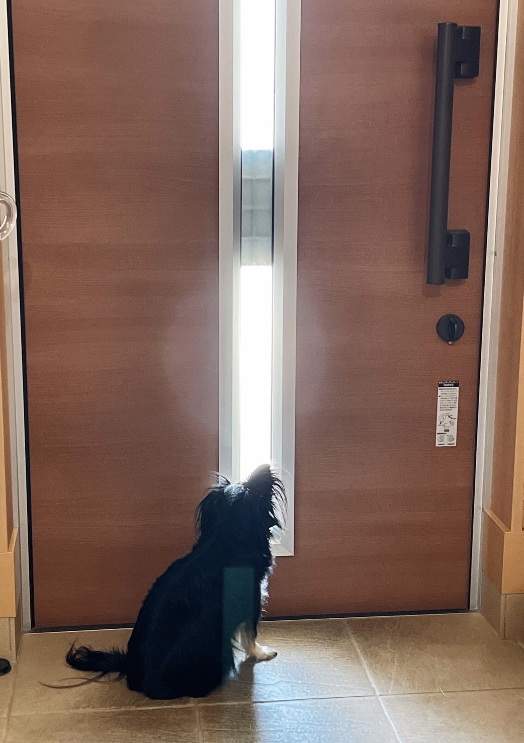 藤井風✩エプロン✩おまけ付 藤井風 Workin' Hard エプロン - メルカリ