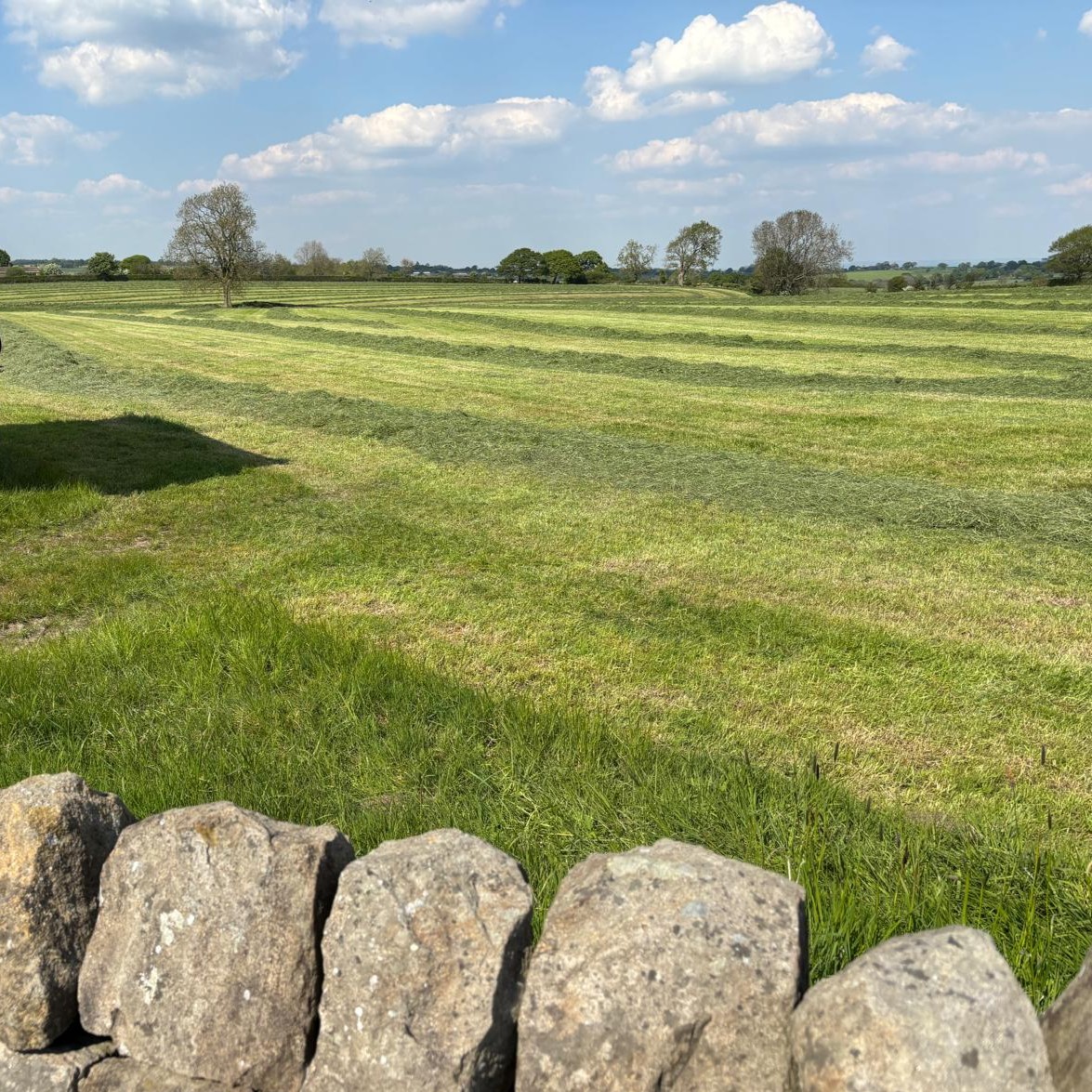 Corteva UK & Ireland - Forage (@cortevaforage) on Twitter photo 🚜 Maximise your grass silage potential! 🚜
Pioneer® Brand 1188 is specially formulated for grass silage under 30% dry matter. With proven results including: 
✅ +1.5 kg milk/day
✅ +4 kg beef live-weight gain/tonne
✅ 20% less in-silo losses
🔗 corteva.co.uk/products-and-s… 🚜 Maximise your grass silage potential! 🚜
Pioneer® Brand 1188 is specially formulated for grass silage under 30% dry matter. With proven results including: 
✅ +1.5 kg milk/day
✅ +4 kg beef live-weight gain/tonne
✅ 20% less in-silo losses
🔗 corteva.co.uk/products-and-s…
