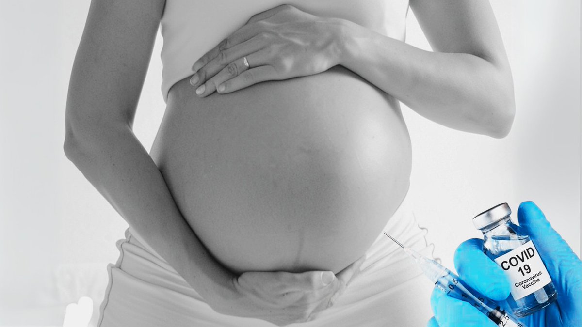 France-Soir (@france_soir) on Twitter photo 🚨Les femmes vaccinées avant conception montrent un taux de conceptions réussies 1,5 fois inférieur à celui des non vaccinées révèle l'étude de <a href="/MannicheVibeke/">Dr Vibeke Manniche</a>. Les autorités ont-elles promu la vaccination des femmes enceintes sans données solides ?
francesoir.fr/societe-sante-… 🚨Les femmes vaccinées avant conception montrent un taux de conceptions réussies 1,5 fois inférieur à celui des non vaccinées révèle l'étude de <a href="/MannicheVibeke/">Dr Vibeke Manniche</a>. Les autorités ont-elles promu la vaccination des femmes enceintes sans données solides ?
francesoir.fr/societe-sante-…