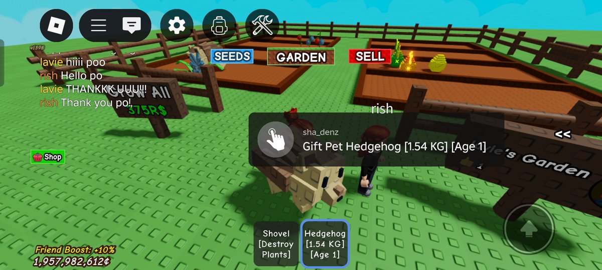 kvxz__'s tweet photo. @rshsell #rish_proofs bought 2 hedgehods from them!! another satisfied customer again!! till next time? π THANKKKS AGAIN, SWEETIEEEE!! π https://t.co/qZ8AtotuCH