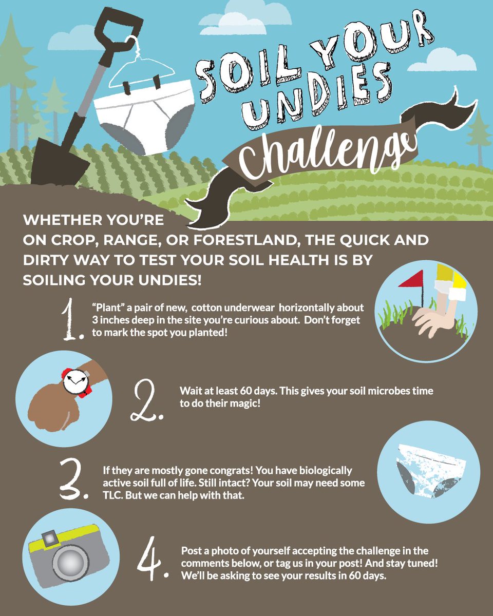 It is National Soil Health Day, and we are digging into the undie-cover work of soil microbes! That’s right it is time to Soil Your Undies. We know... we just had to go and make learning about soil weird, but we promise it is fun. Here's how to do it: