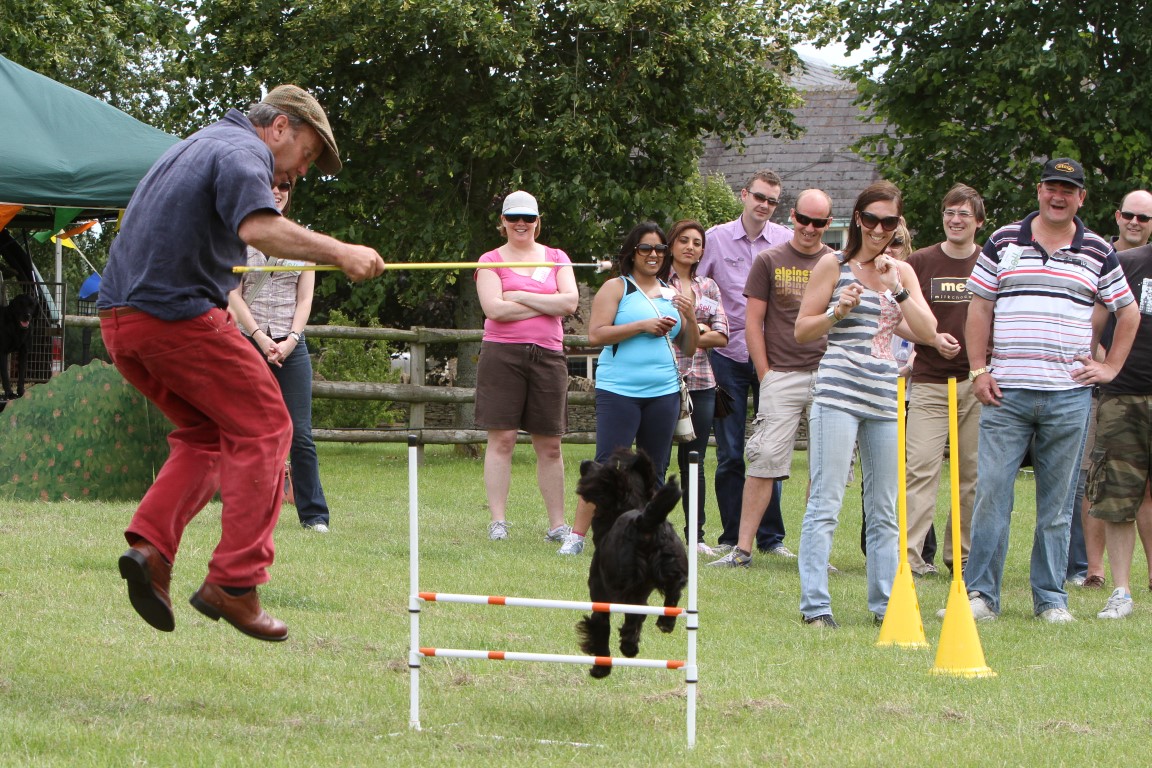 teambuilding_co's tweet image. That end-of-term energy is contagious.
The kids are bouncing off walls, the office is half-empty, and Susan from HR has already mentally left the building.
Book a summer team-building day. You deserve it
#TeamBuildingUK #SchoolsOutVibes #CorporateFun #SummerAwayDays #OfficeEscape