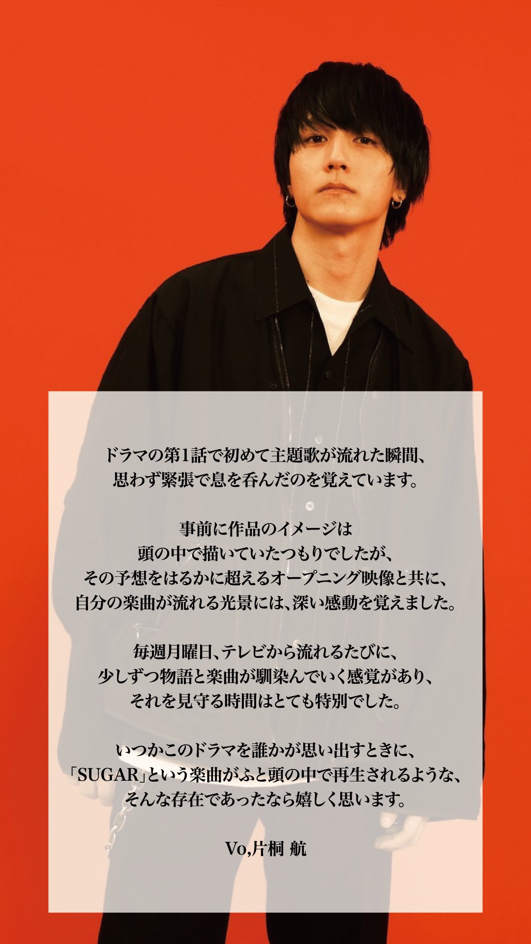 flanafi Do You Have My Money?レコード カセット付き flanafi Do You Have My Money?レコード カセット付き flanafi