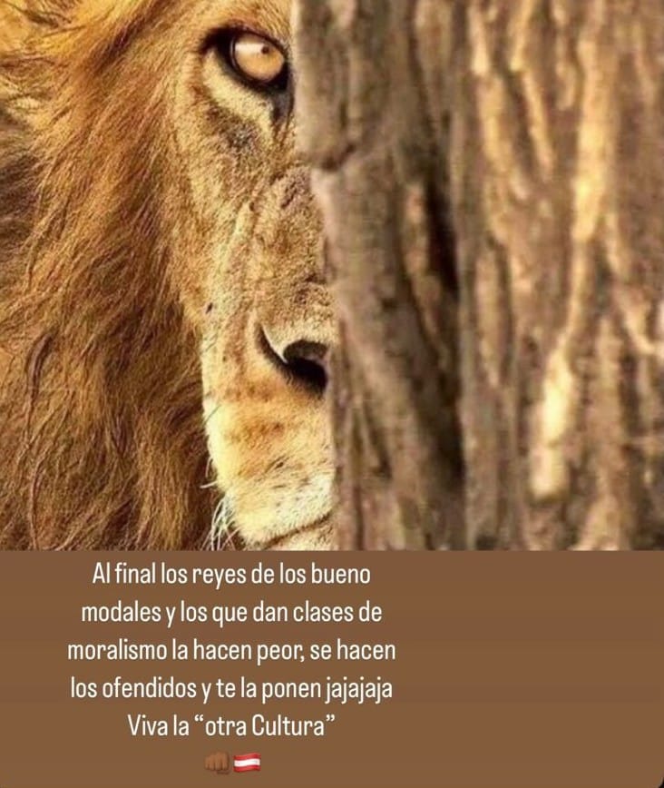 cielosports's tweet image. #EDLP El tremendo palazo de Verón a Gallardo por descalificar al Estudiantes de Sabella y por un movimiento en el mercado. Mirá el trasfondo de la declaración del presidente del Pincha.
infocielo.com/deportes/el-tr…