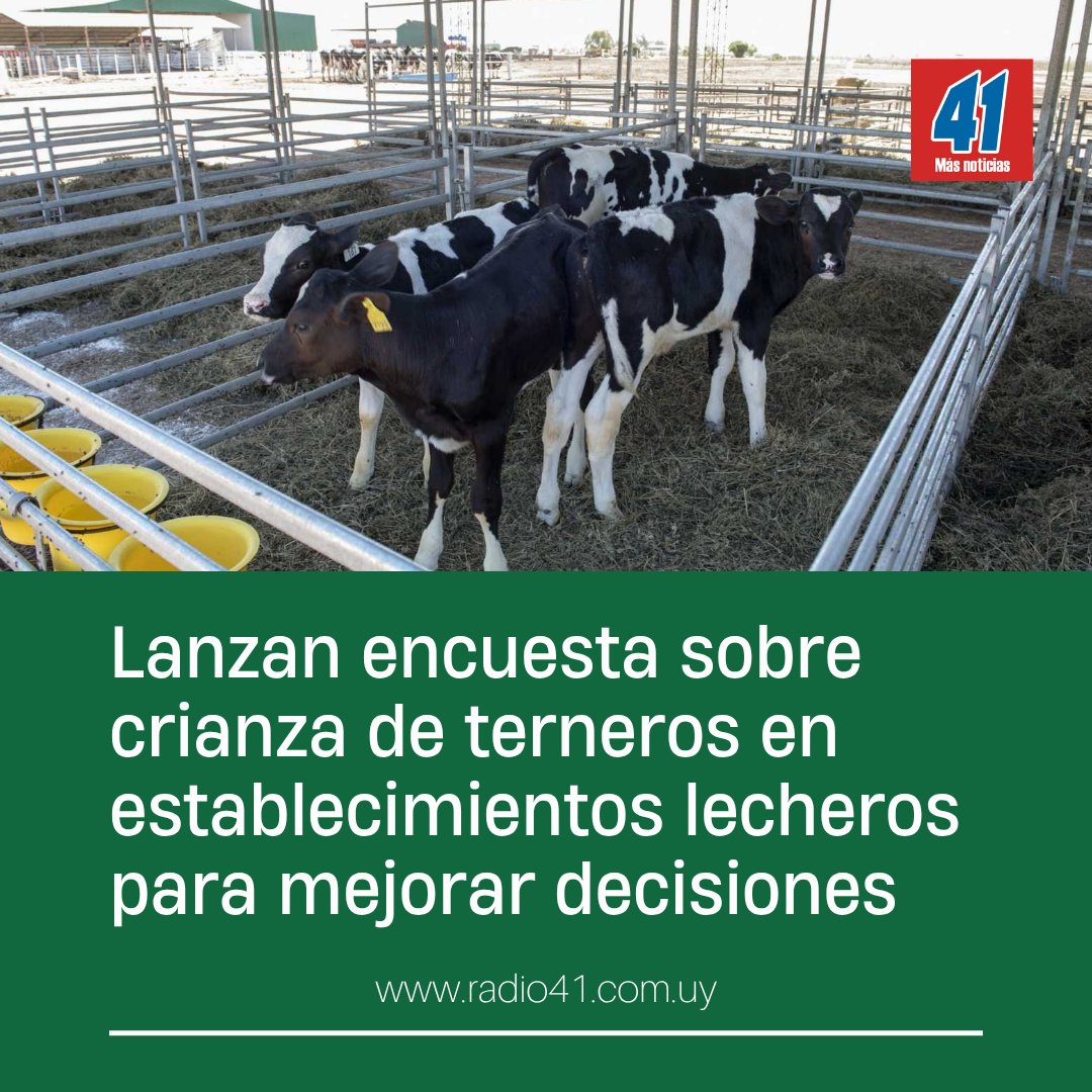Radio 41 (@radio41sj) on Twitter photo La encuesta de <a href="/INIA_UY/">INIA URUGUAY</a> apunta a productores, técnicos y operarios surge frente a la falta de registros y tras constatarse una baja en el número de animales. La mortalidad en los terneros es alrededor del 15.2% y muchas veces se desconoce su motivo. 👇👇
radio41.com.uy/index.php/colu… La encuesta de <a href="/INIA_UY/">INIA URUGUAY</a> apunta a productores, técnicos y operarios surge frente a la falta de registros y tras constatarse una baja en el número de animales. La mortalidad en los terneros es alrededor del 15.2% y muchas veces se desconoce su motivo. 👇👇
radio41.com.uy/index.php/colu…