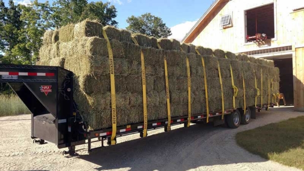 charmingfare's tweet photo. Secure Your Hay – Get on Our Schedule Now! - https://t.co/vPugqMbnNM https://t.co/t8RaBq3Sfq