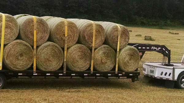 charmingfare's tweet photo. Secure Your Hay – Get on Our Schedule Now! - https://t.co/vPugqMbnNM https://t.co/t8RaBq3Sfq