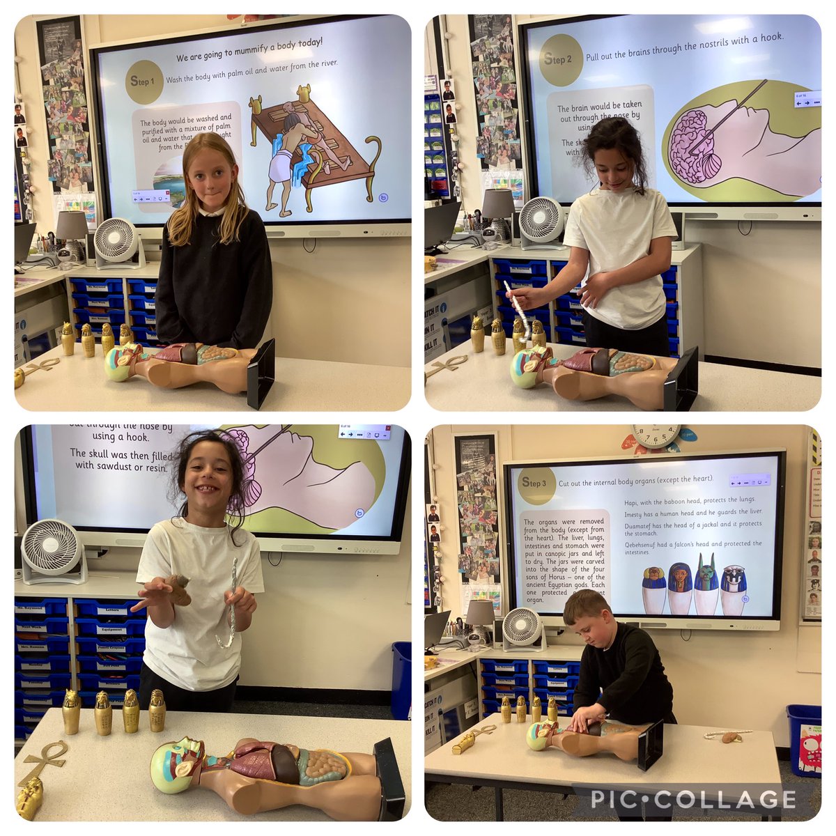 ReinwoodJuniors's tweet photo. #RJS3R have taken part in an ancient Egyptian mummification ritual this afternoon. They learnt about the different steps, including removing the brain through the nose. #RJSHistory #RJSScience https://t.co/gi1CM6lcpj
