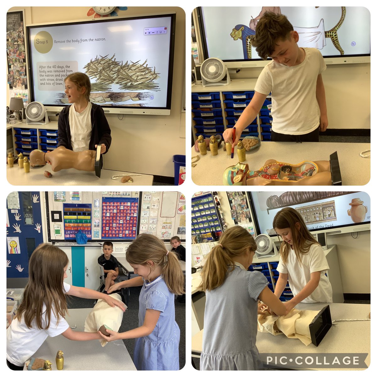 ReinwoodJuniors's tweet photo. #RJS3R have taken part in an ancient Egyptian mummification ritual this afternoon. They learnt about the different steps, including removing the brain through the nose. #RJSHistory #RJSScience https://t.co/gi1CM6lcpj