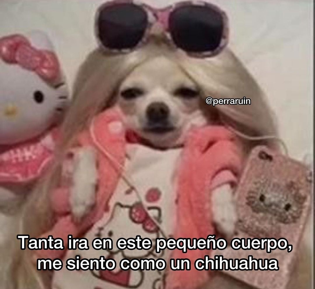 barbie_context's tweet photo. https://t.co/o5nGeBYwvq