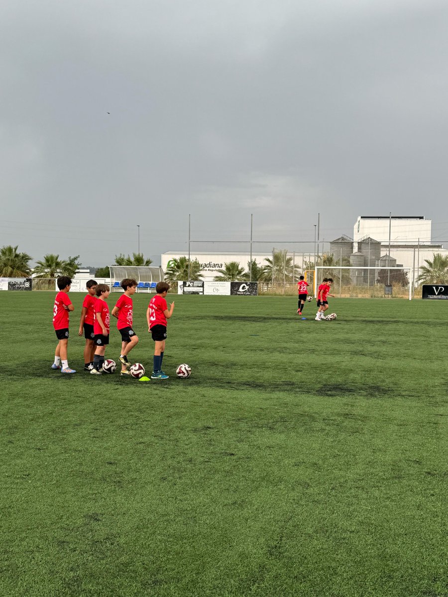 📸 ¡Primer día del #CampusPedroPorro y vaya manera de empezar!

⚽ Ilusión en cada rincón, ganas en cada ejercicio y un ambientazo increíble desde el minuto uno.

¡Esto promete, y mucho! 💥