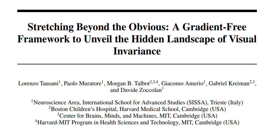 Giacomo Amerio tweet media