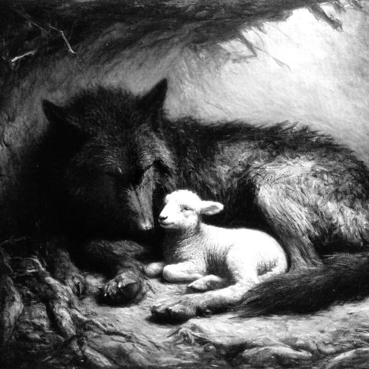 Uygar ve Meira temsili... 🫠