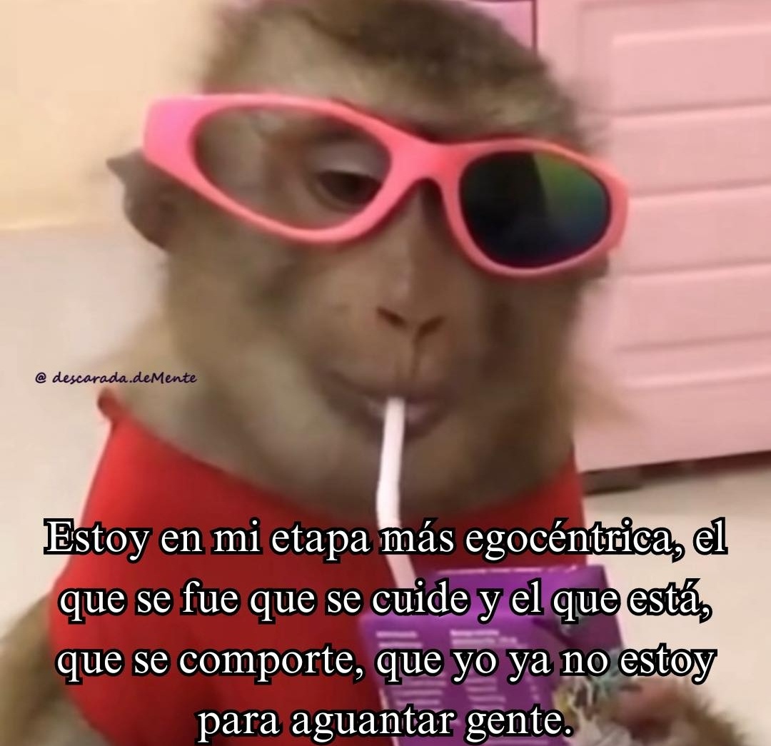 barbie_context's tweet photo. https://t.co/hq0mkwqMco