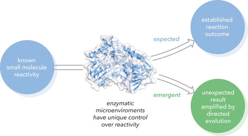 Princeton Chemistry (@princetonchem) on Twitter photo Earlier this month, the Todd Hyster Lab published a Perspective on “Emergent Mechanisms in Biocatalysis” in ACS Central Science <a href="/ACSPublications/">ACS Publications</a>
Nice work Felix and Todd. DOI: doi.org/10.1021/acscen… Earlier this month, the Todd Hyster Lab published a Perspective on “Emergent Mechanisms in Biocatalysis” in ACS Central Science <a href="/ACSPublications/">ACS Publications</a>
Nice work Felix and Todd. DOI: doi.org/10.1021/acscen…