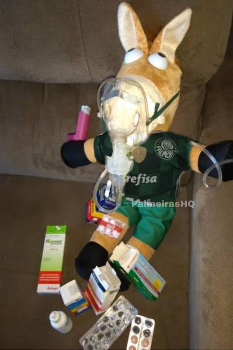 palmeirasHQ's tweet photo. Ansiedade Esportiva Palmeiras https://t.co/djalP98TSm