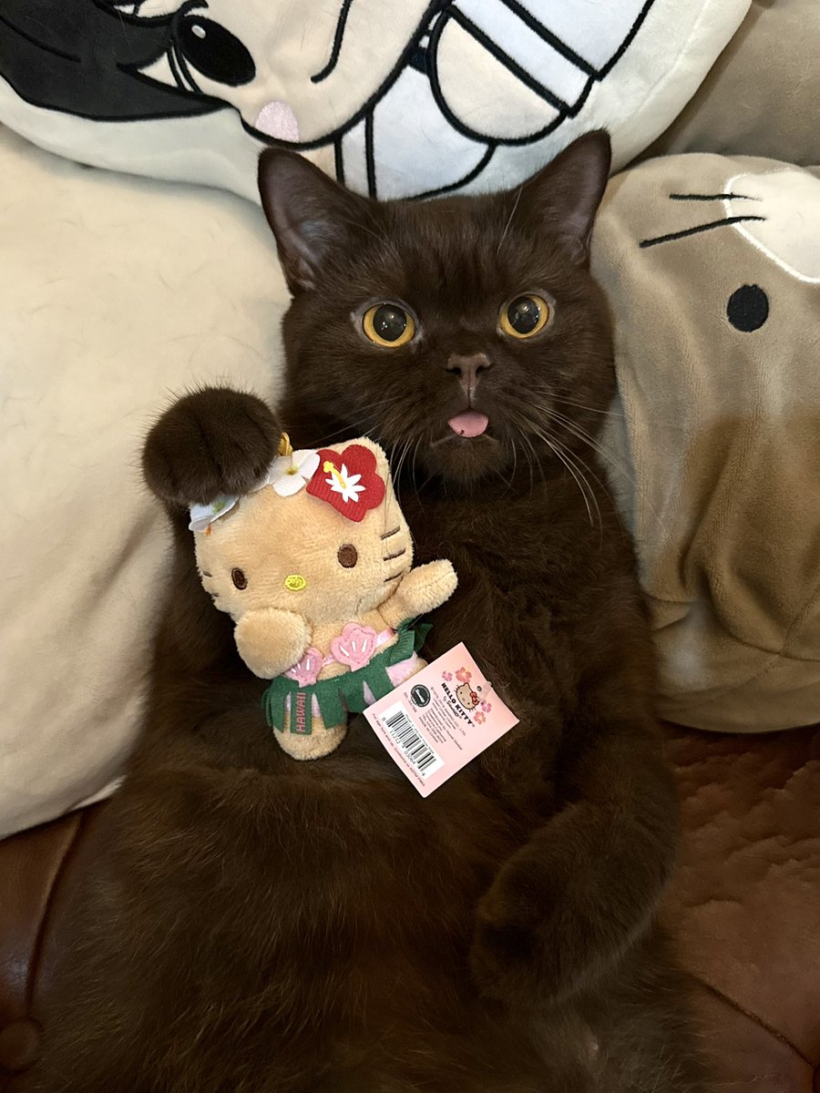 รุ่นนี้ปะพี่