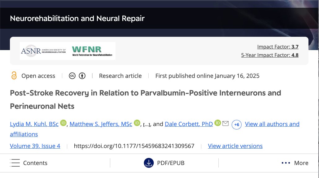 Authors examined the mechanisms for increased post-stroke plasticity. They found behavioral recovery corresponded with ⬇️ in parvalbumin-immunoreactive interneuron inhibitory signaling &amp; perineuronal nets. These may be potential targets for new therapies.

journals.sagepub.com/doi/full/10.11…