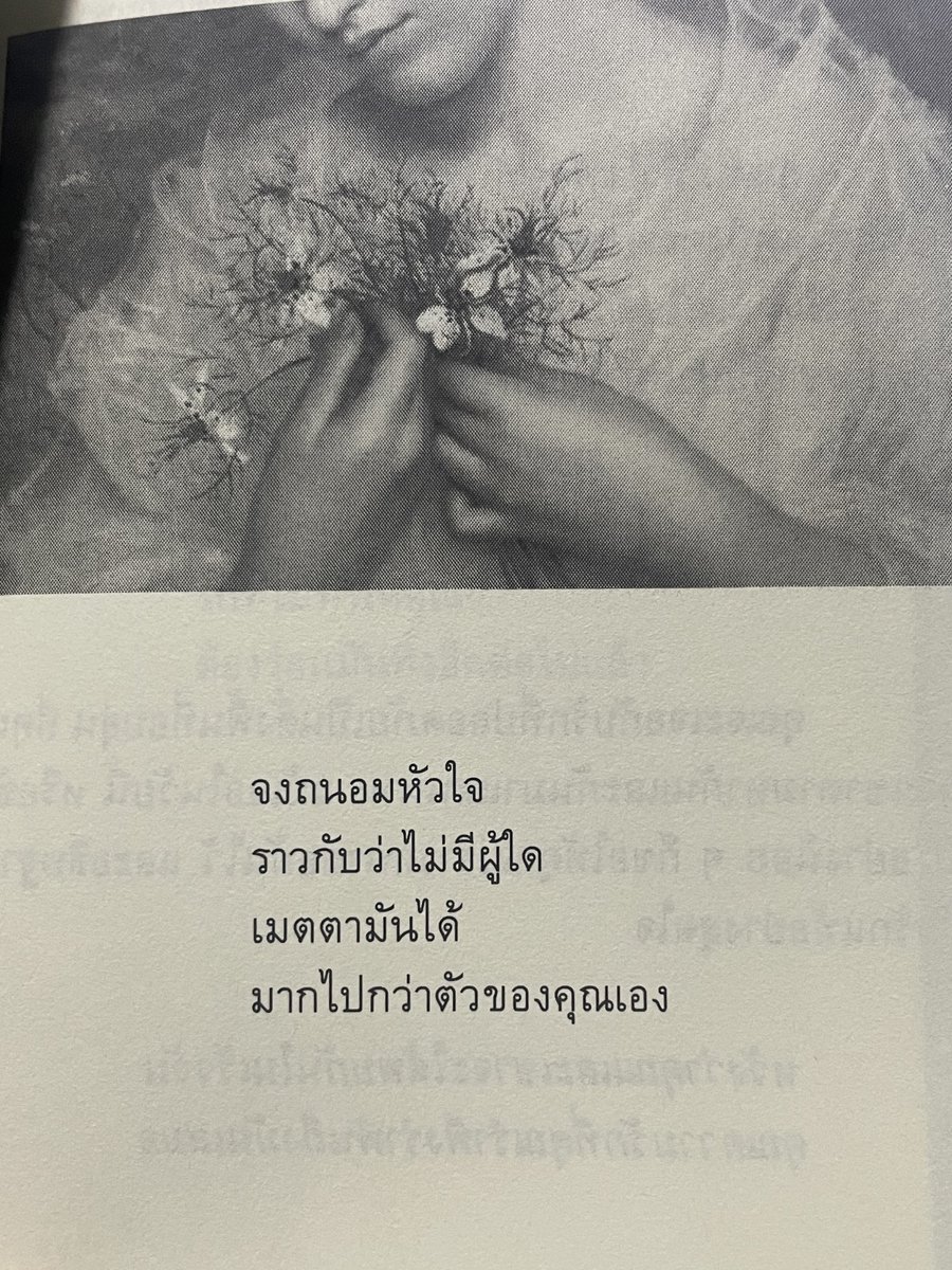 กลิ่นหนังสือ (@klinnangsue) on Twitter photo 