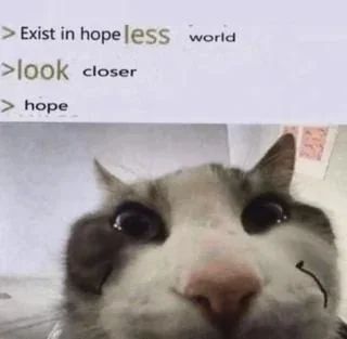 🕐HOURLY🕑 shitpost (@hourly_shitpost) on Twitter photo 