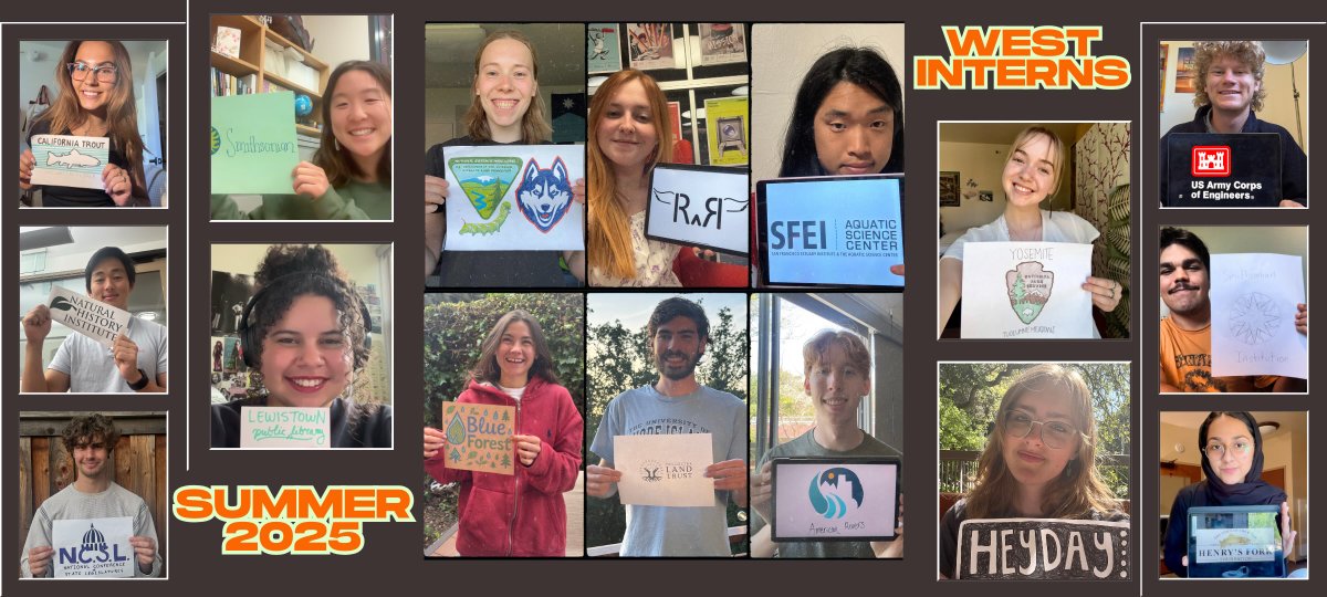 In our summer West Internships, students explore careers in natural history, conservation, ecology, museum curation, resource management and more. In the coming weeks, we'll share student experiences from the field in our Out West student blog. Stay tuned! stanford.io/3TCe9Vf