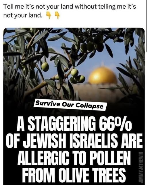 Celtic Lass (@thecelticlass) on Twitter photo 