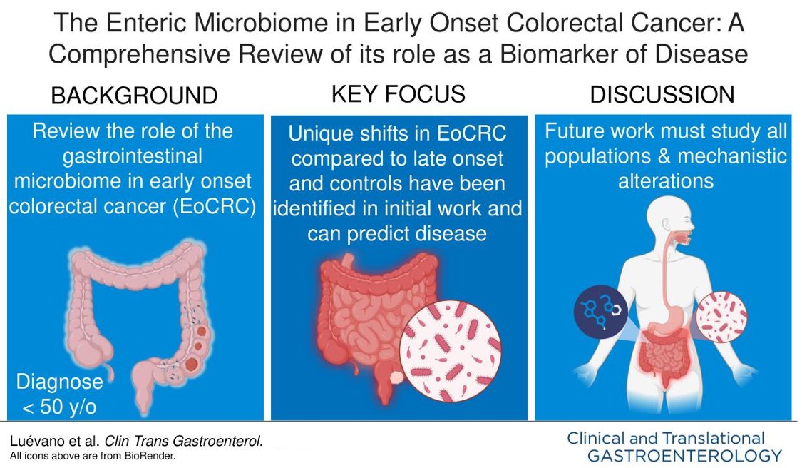 ACG_CTG's tweet image. The Enteric Microbiome in Early Onset Colorectal Cancer
Luévano, et al.
➡️ bit.ly/3HRzs2M
@TStappenbeckMD @AmCollegeGastro @brianjacobsonmd @YhernandezMD @VMKGIMD @LevinthalDavid @EugeniaShmidtMD @singal_ashwani