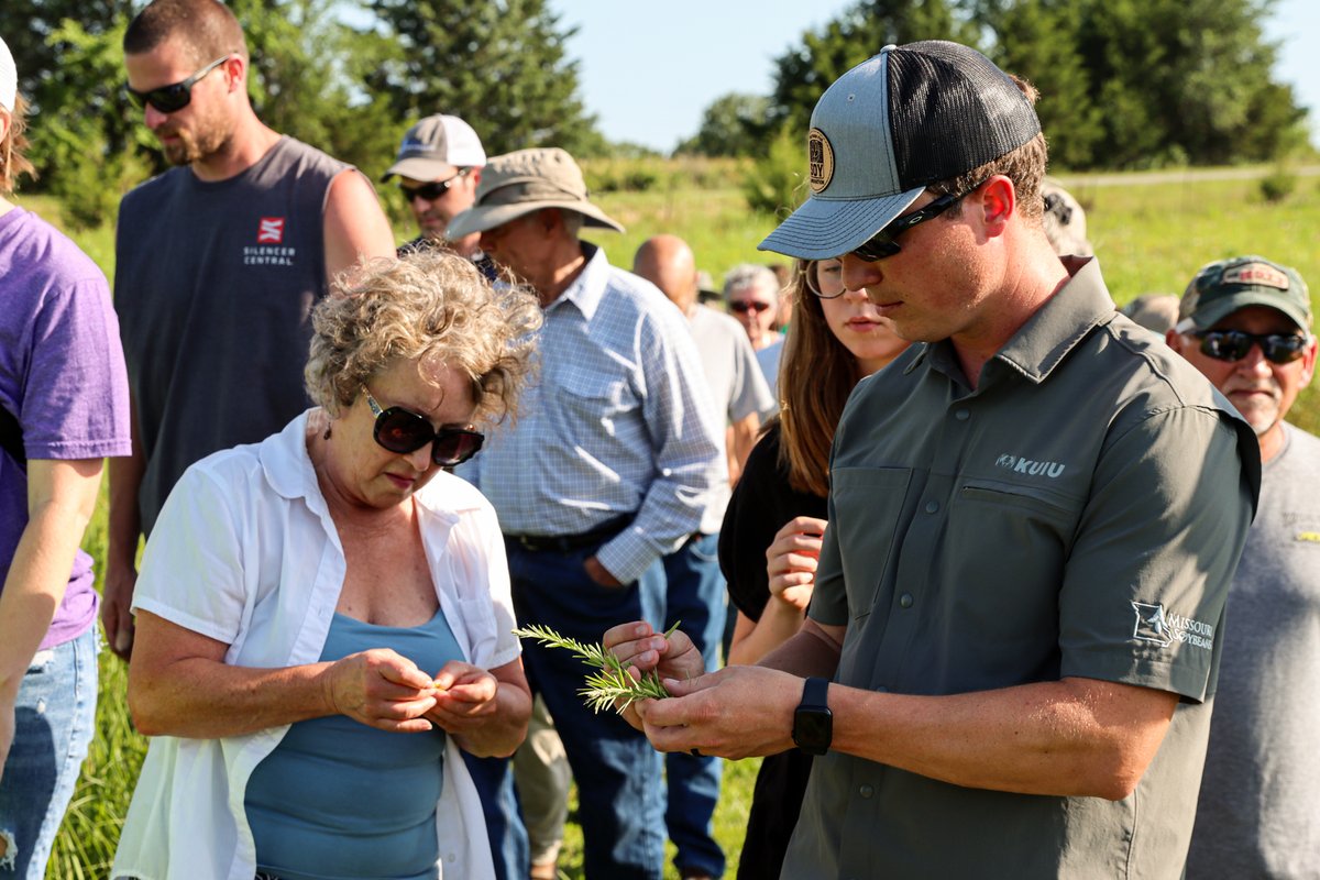 missourisoybean's tweet image. Supporting pollinators = supporting the planet 🐝🌎

This weekend Missouri Soybeans and @MDC_online partnered to host a Pollinator Tour educating about prescribed burns, grazing practices, and other pollinator habitat management strategies.

#MOSoy #HabitatManagement