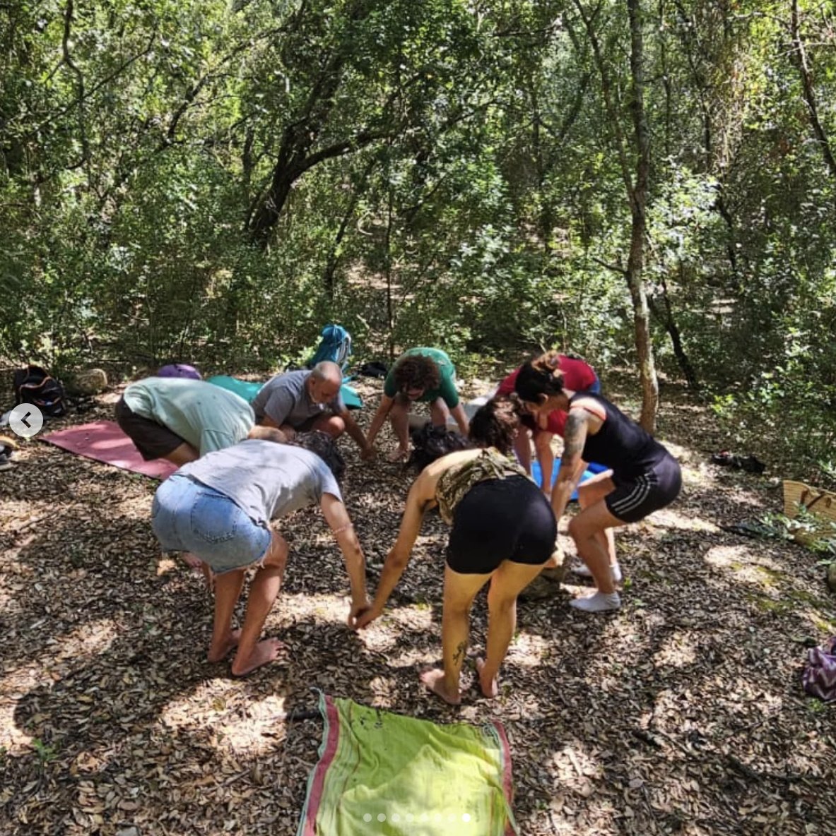 ARBREBALEAR's tweet image. Hace unos días vivimos una experiencia mágica ✨de #BaileenelBosque en las Fonts Ufanes. A través de los sentidos, invitados por las texturas del bosque, el canto de los pájaros, los olores y la contemplación del entorno, logramos trabajar la atención plena, la propiocepción, la…