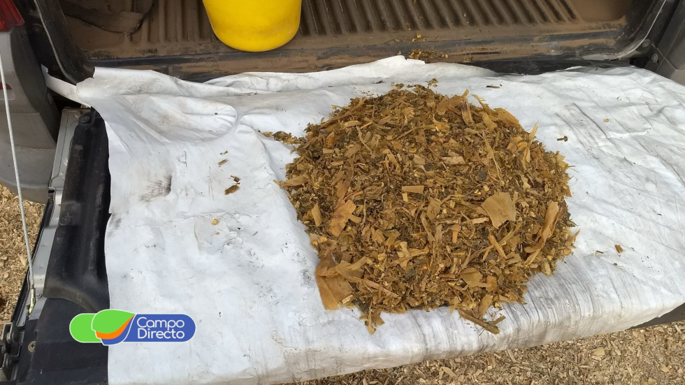 Campo Directo (@campodirecto) on Twitter photo Los análisis de forraje nos ayudaran a estimar consumos y producciones además de saber en qué fallamos y qué se debe corregir en el futuro.
<a href="/MinAgriCba/">Ministerio de Bioagroindustria de Córdoba</a> <a href="/RichigerMaq/">Richiger Maquinarias</a> <a href="/AgropartesBlade/">Agropartes Blade</a> <a href="/ensiladores/">ensiladores</a> <a href="/ragtsemillas_ar/">𝗥𝗔𝗚𝗧 𝗦𝗲𝗺𝗶𝗹𝗹𝗮𝘀</a> <a href="/TobinSemillas/">Tobin Semillas</a> <a href="/nexus_srl/">NEXUS AGRO</a> <a href="/SupraSemillas/">Supra Semillas</a>
campodirecto.com.ar/hora-de-hacer-… Los análisis de forraje nos ayudaran a estimar consumos y producciones además de saber en qué fallamos y qué se debe corregir en el futuro.
<a href="/MinAgriCba/">Ministerio de Bioagroindustria de Córdoba</a> <a href="/RichigerMaq/">Richiger Maquinarias</a> <a href="/AgropartesBlade/">Agropartes Blade</a> <a href="/ensiladores/">ensiladores</a> <a href="/ragtsemillas_ar/">𝗥𝗔𝗚𝗧 𝗦𝗲𝗺𝗶𝗹𝗹𝗮𝘀</a> <a href="/TobinSemillas/">Tobin Semillas</a> <a href="/nexus_srl/">NEXUS AGRO</a> <a href="/SupraSemillas/">Supra Semillas</a>
campodirecto.com.ar/hora-de-hacer-…