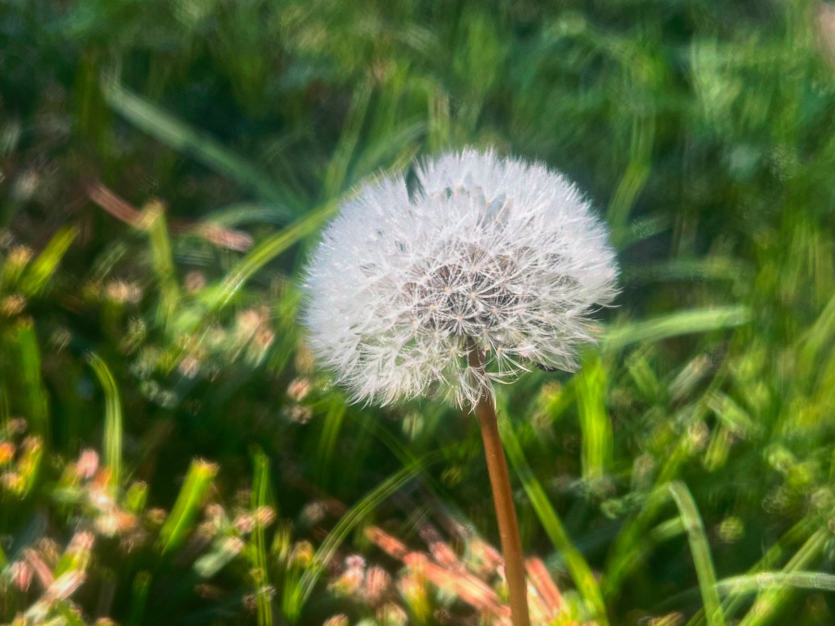 Happy Tuesday #bloomscrolling