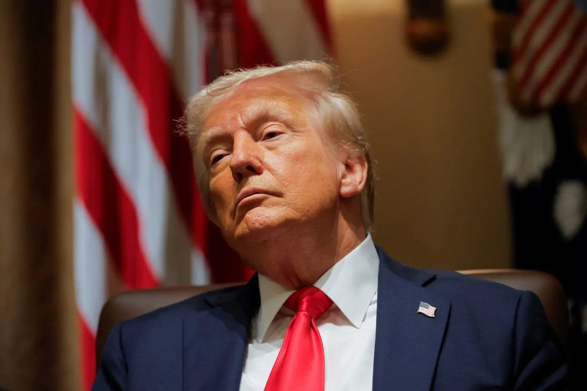 Collin Rugg tweet media