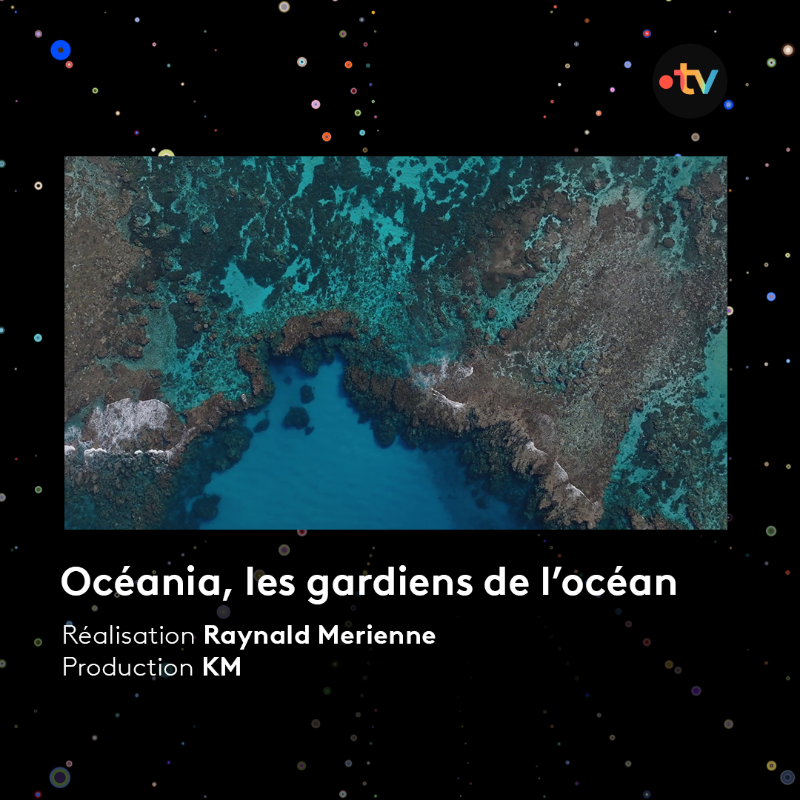 Francetele's tweet photo. 🎥 🌎 #SSD25 | L’Outre-mer, une terre de talents !
📲 Des histoires contemporaines à découvrir sur nos antennes 👇