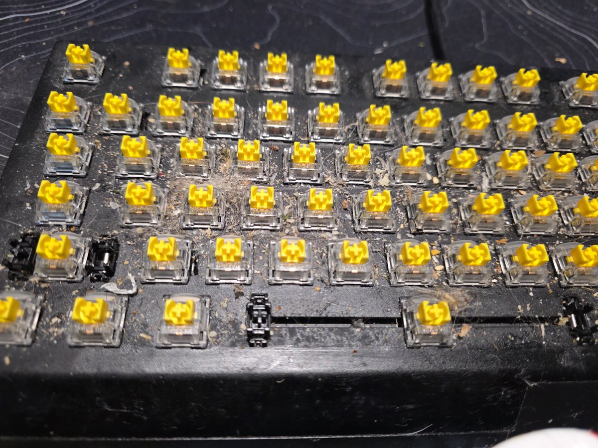 ZMK_Records's tweet photo. here's your friendly reminder to clean your keyboard 👏  #keyboard https://t.co/pWgYODi3bc