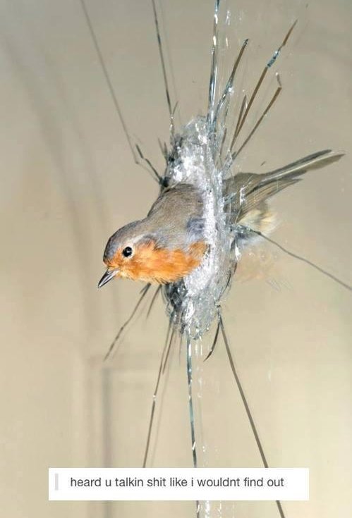 nie was wronges gemaked (@dirnerin) on Twitter photo 