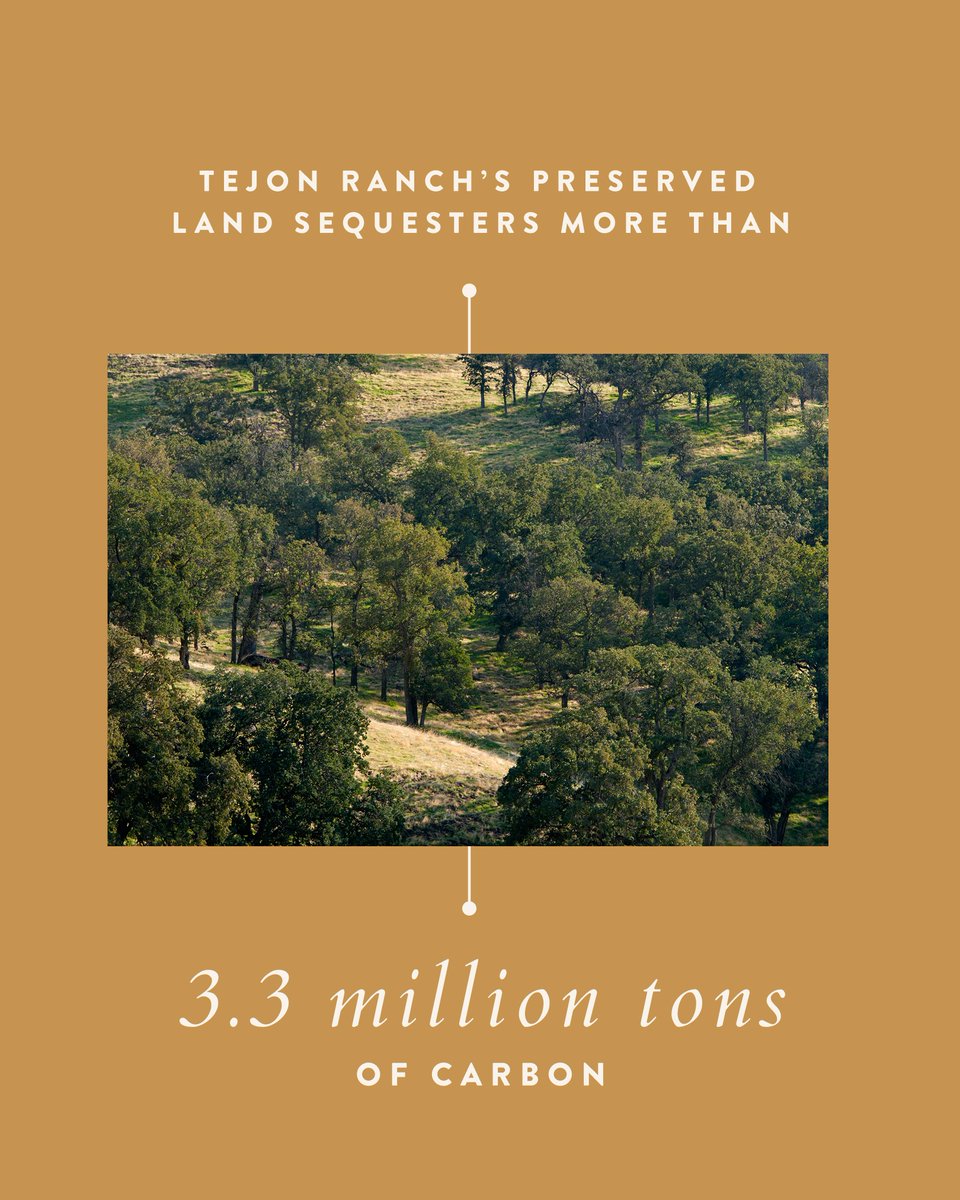 Tejon Ranch’s preserved land stores 3.3M+ tons of carbon—the yearly equivalent of removing 2.5M cars from the road. It’s proof that large-scale conservation delivers real climate impact—and a legacy of cleaner air for California.