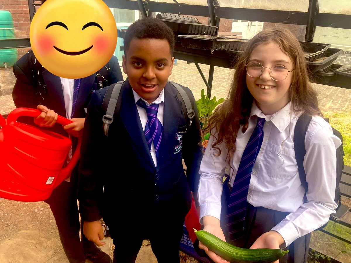 Our first cucumber! Super proud of our little gardeners! Their dedication has been amazing!!