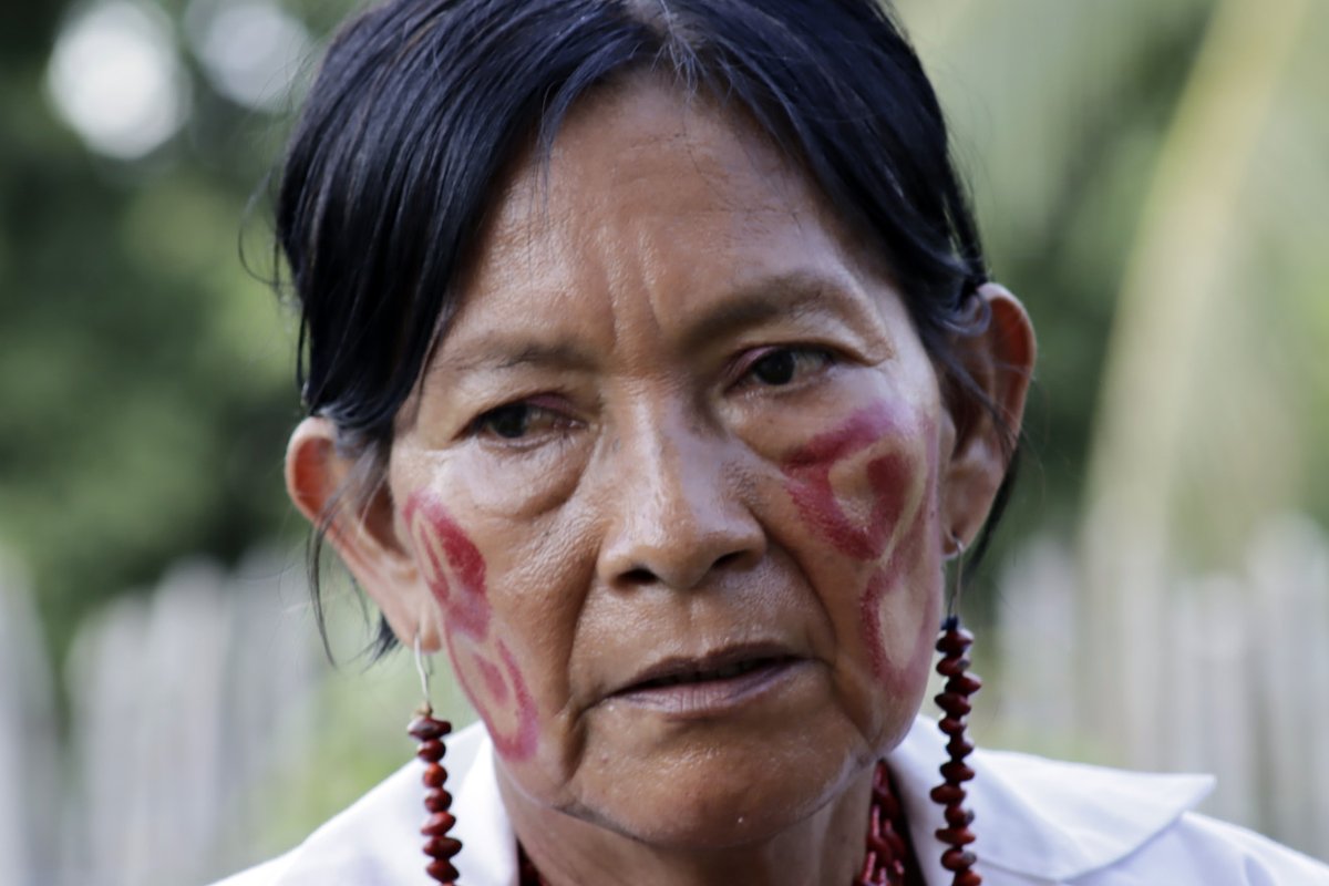 agendapropiaap's tweet image. 🪷| Coromoto Mume, mujer indígena Yukpa y partera de la Sierra de Perijá 🇻🇪, ha recibido a más 230 bebés con sabiduría ancestral y formación médica.
Ella garantiza la salud y los derechos tradicionales de su comunidad.
Lea esta historia:
bit.ly/MujerYukpaParto